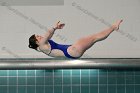 Diving vs Babson  Wheaton College Diving vs Babson College. - Photo By: KEITH NORDSTROM : Wheaton, Diving